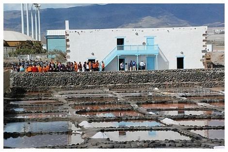 Las Gaviotas Beach Pozo Izquierdo ภายนอก รูปภาพ